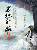男妃陞級系統小說封面