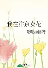 我在汴京卖花全文免费阅读封面