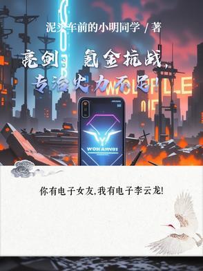 亮剑游戏视频 亮剑游戏视频