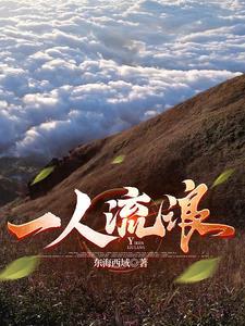 一个人出去流浪 一个人出去流浪