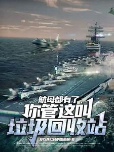 航母垃圾处理 航母垃圾处理
