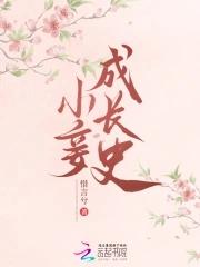 小妾阅读全文免费无弹窗