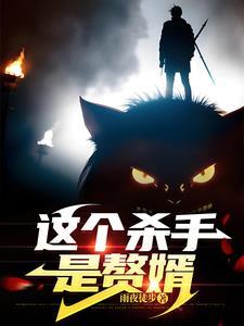 这个杀手是赘婿雷浩