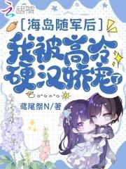 海岛随军的年代文