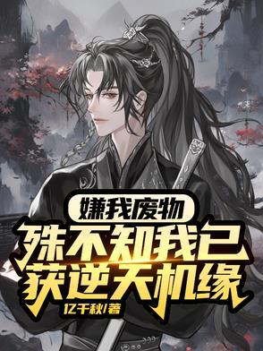 重生08装备系男神无弹窗 吾读