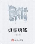 贞观唐钱 贞观唐钱