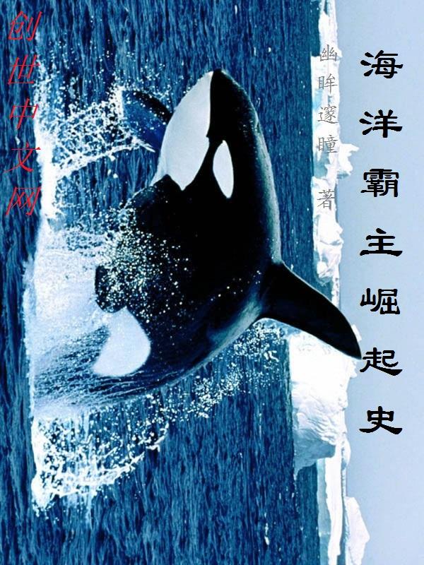 蒸汽火车计划 蒸汽火车计划